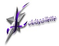 Logo Lululapaillette