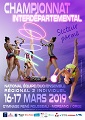 Affiche des championnats interdépartementaux ensembles Nationaux 2019, à Morsang sur Orge et Lardy